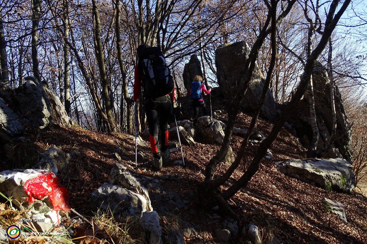 66 In cresta nel bosco con roccioni.JPG